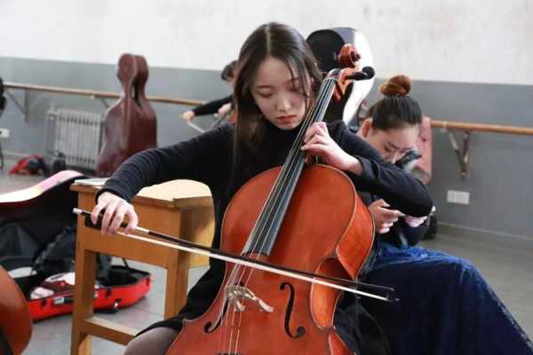 中国前十音乐学院排名 中国大提琴音乐学院排行榜？