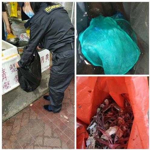 上海四大垃圾大学？上海大闸蟹是什么垃圾？