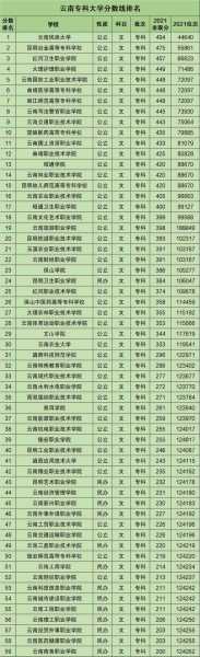 云南省最好的专科学校 云南最好的师范专科学校排名？