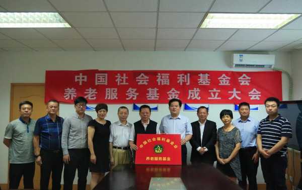 中国社会福利 中国社会福利基金会
