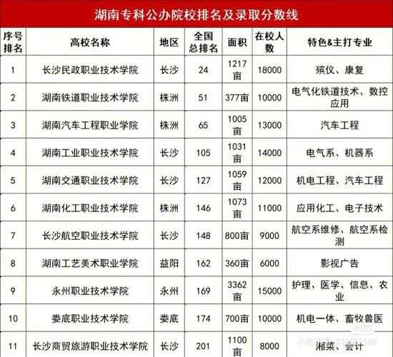 湖南女子大学单招分数线（湖南女子学院2020年投档线）